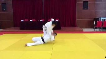 舍身技,无畏挑战，勇攀高峰的传奇之路